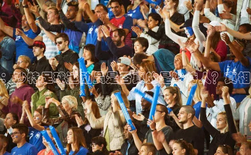 谈球吧体育官网百度集团