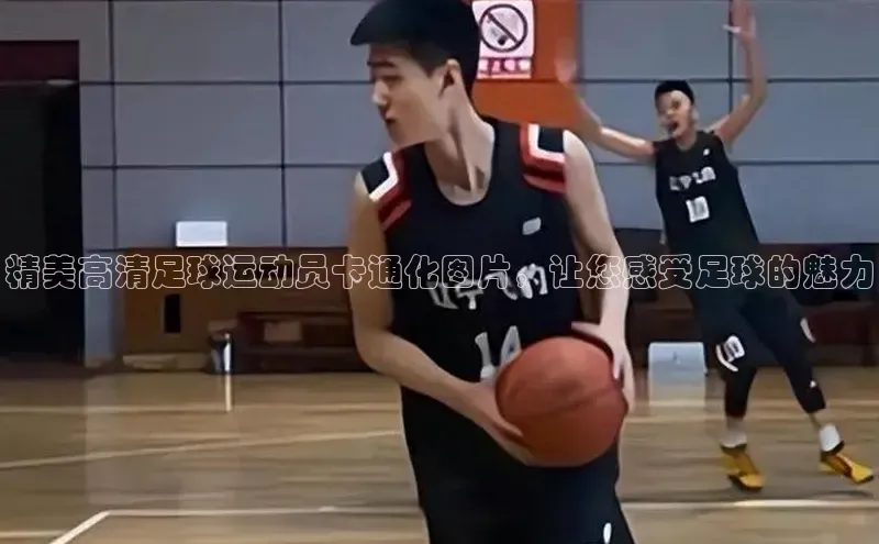 谈球吧网站诸葛科技