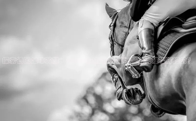 谈球吧体育平台百度 H5