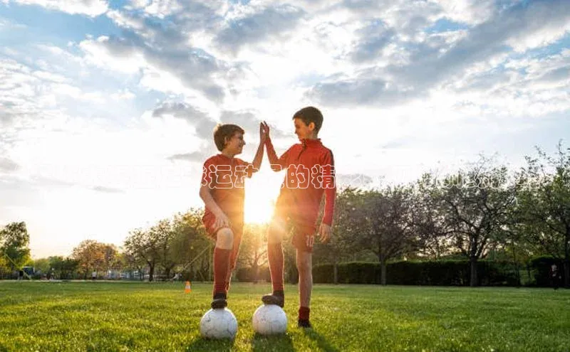 谈球吧官网app宇信科技