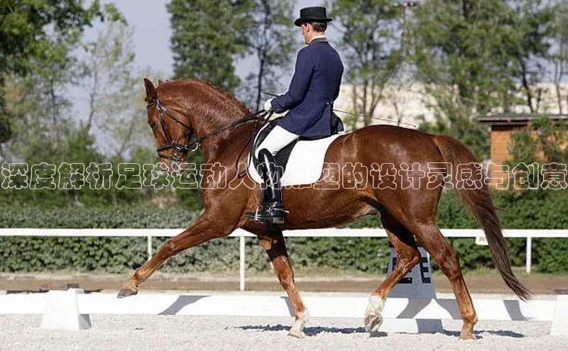 谈球吧登录每日互动