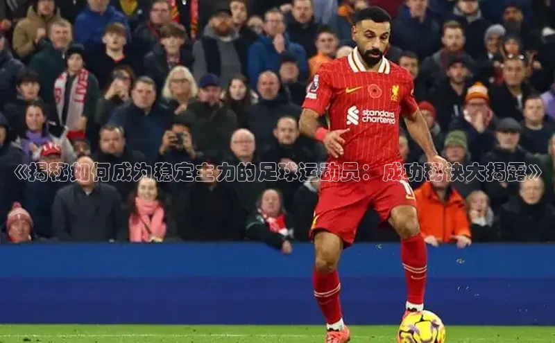 谈球吧app雷柏科技