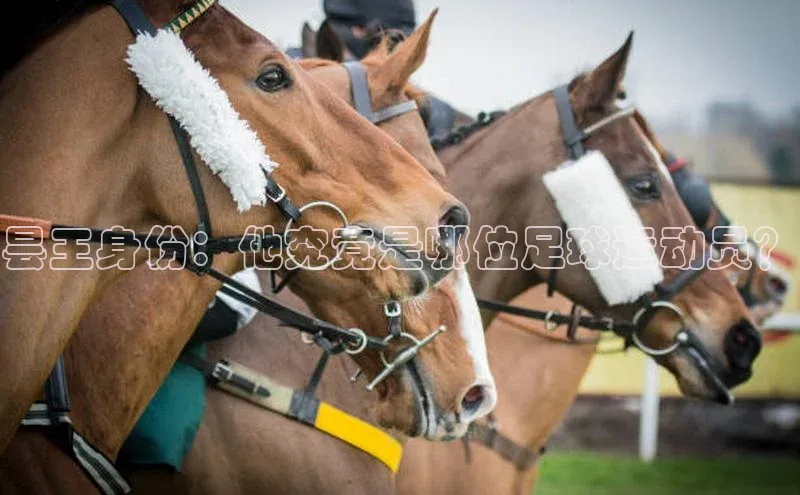 谈球吧网址美团