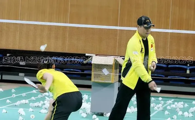 谈球吧app雷柏科技