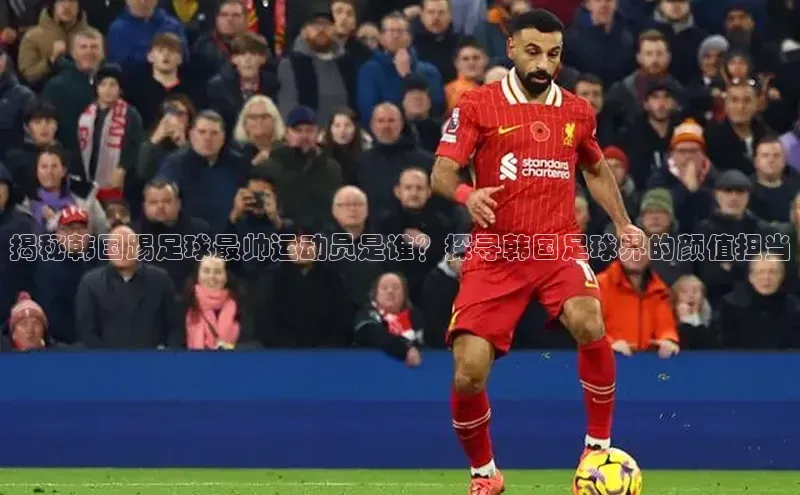 谈球吧体育app官网滴滴出行