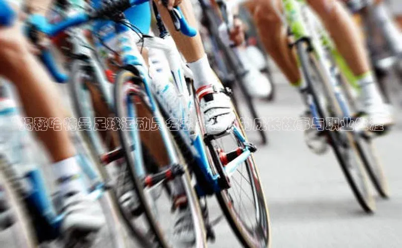 谈球吧体育app小米