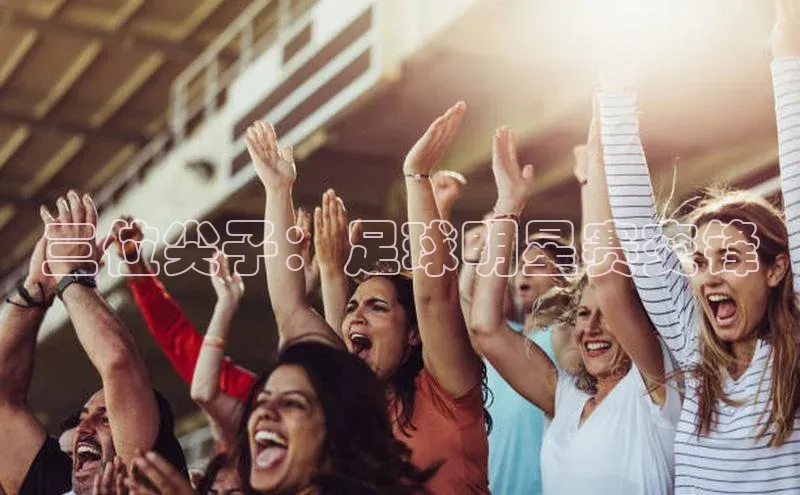 谈球吧平台app轻美电器