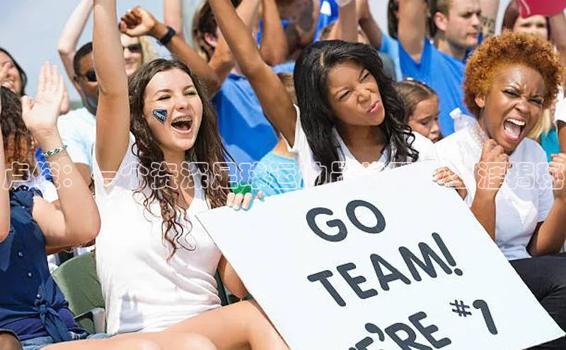 谈球吧网站诸葛科技