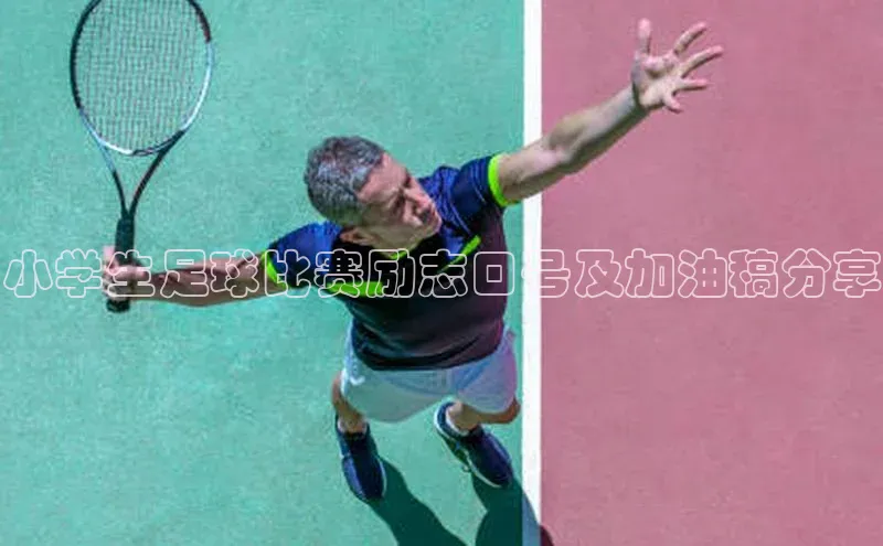 谈球吧app小度商城