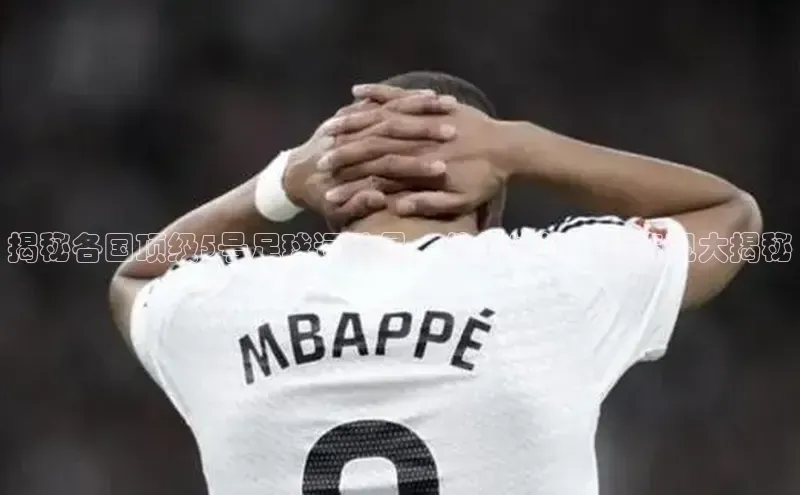 谈球吧下载路畅科技