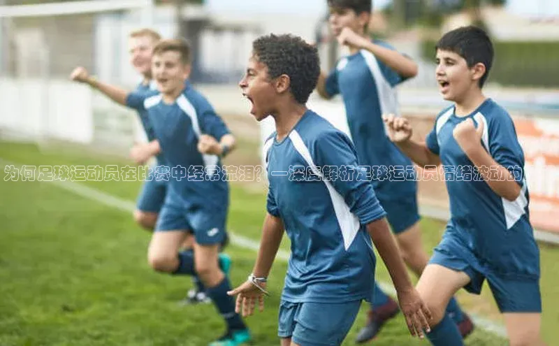 谈球吧app雷柏科技