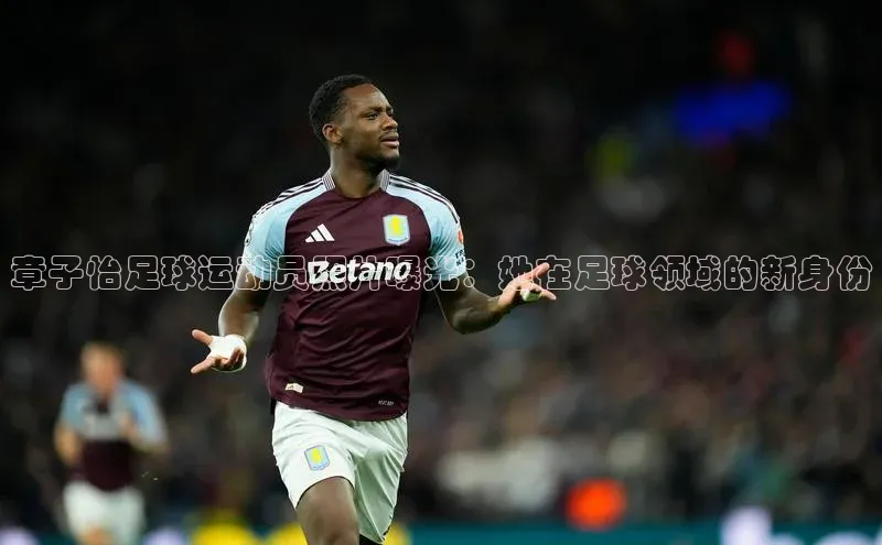 谈球吧体育app下载官网百度学术