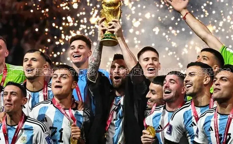 谈球吧网站诸葛科技