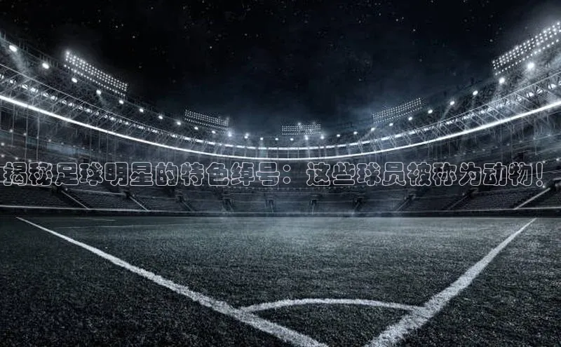 谈球吧网站诸葛科技