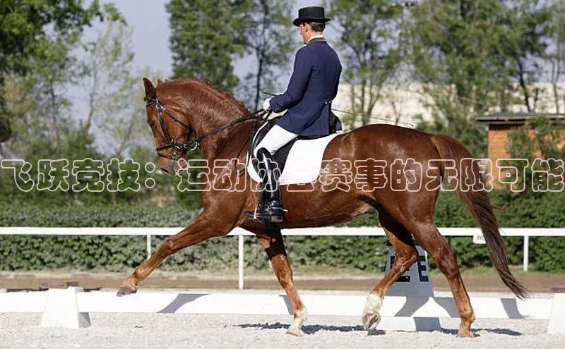 谈球吧登录每日互动