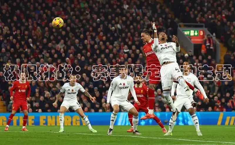 谈球吧网页版在线入口