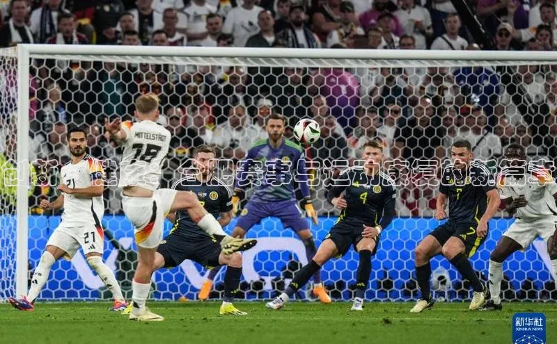 谈球吧体育官网入口