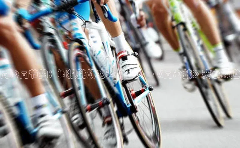 谈球吧app官方入口网站